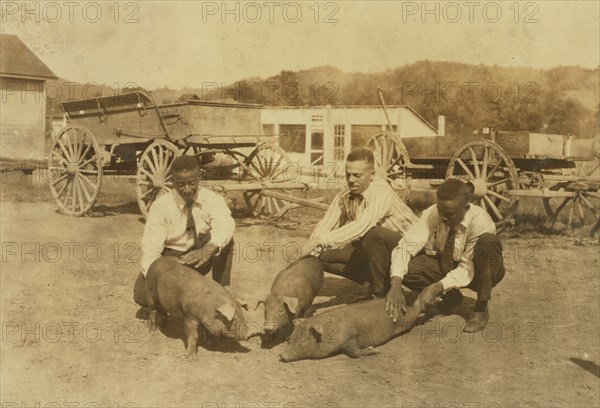 Black Boys in the 4H Club 1921