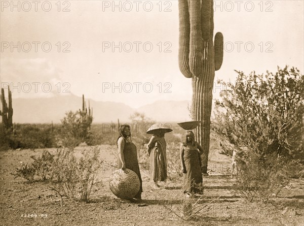 Saguaro fruit gatherers--Maricopa 1907