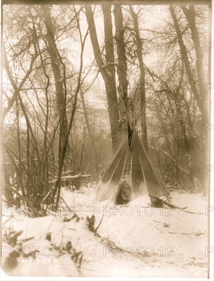 In the forest 1908