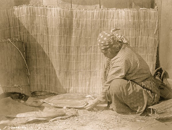 Preparing salmon--Wishram 1910