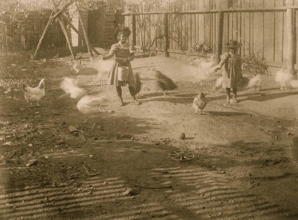 Two African American children feeding chickens in a fenced-in yard 1899