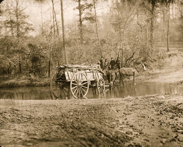 Virginia. Mule team crossing a brook