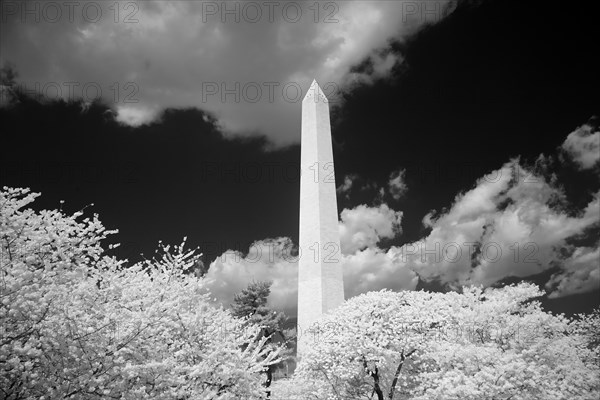 Washington Monument 2009