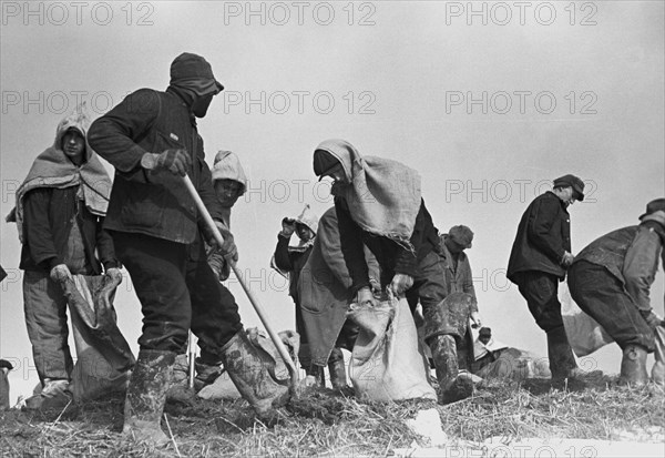 Building the Levee as protection during flood 1937