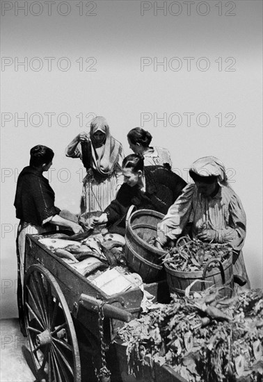 Shopping for Fish and Vegetables, New York City 1899