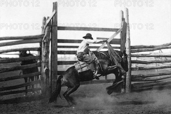 Bronco Busting 1904