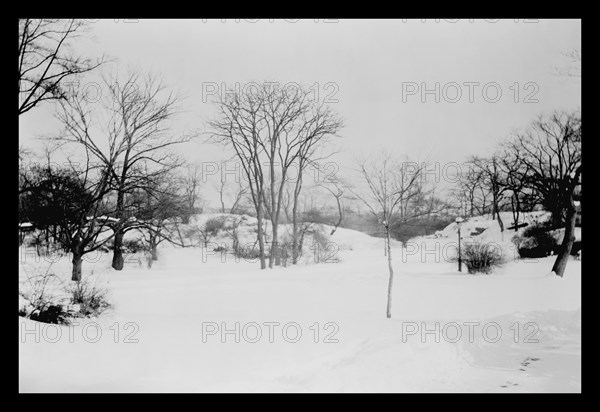 First Snow of the Season in Central Park