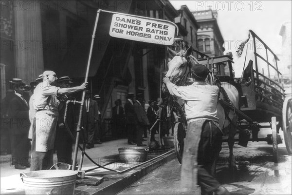 Free Shower Baths for Horses 1911