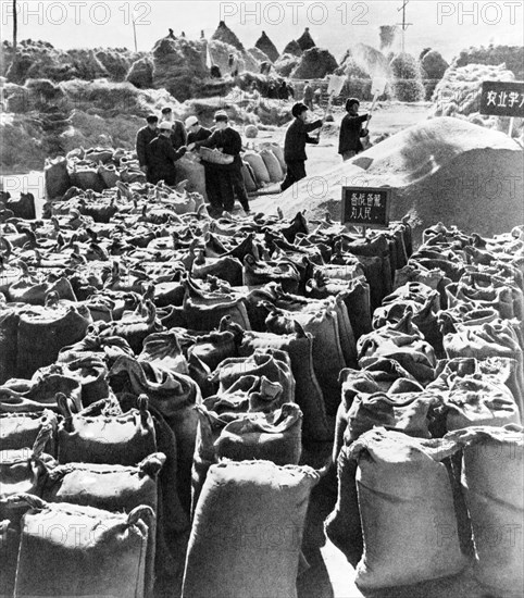 The chienchangpu brigade of the shanchengzu commune in penhse county, liaoning province having reaped a rich wheat harvest, china, early 1960s.