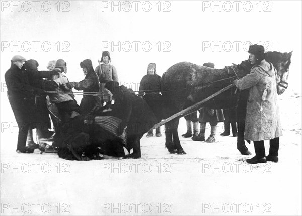 A kulak (so called rich peasant) being arrested while trying to hide grain requisitioned by the state, the red ludorvay collective farm, viatsky province, soviet union, 1930.