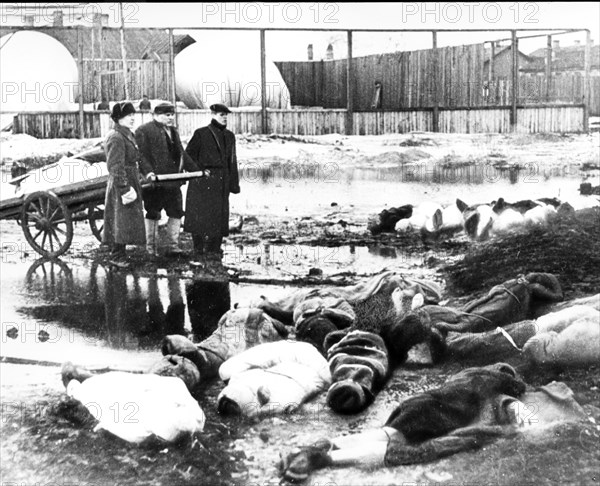 world war ll: seige of leningrad (1942), volkovo cemetry.