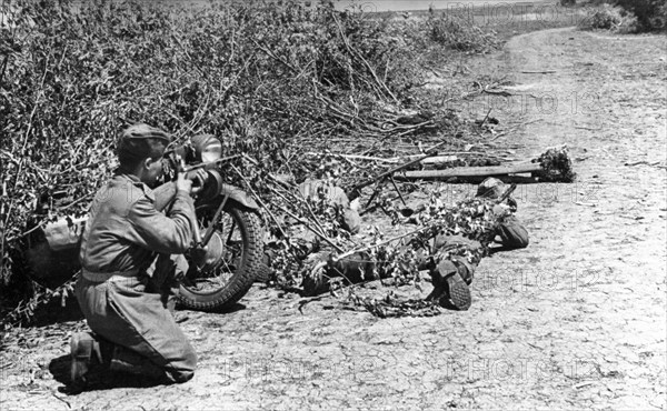 World war 2, june 1943, an anti-tank rifle crew of the 3rd special motorcycle regiment of the guards in ambush on a road, ukraine.