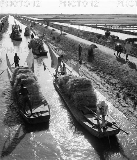 Irrigation canals provide transportation and water to wheat fields near the north bank of the yellow river, wheat acreages have reportedly been greatly enlarged in this area by the reduction of the soil's alkali content, which had kept production dismally low prior to the mid 1950s, china, 1960.