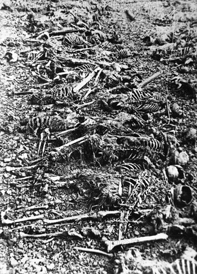 German death factory near lublin,  in majdanek hitlerites built a concentration camp, in which they tortured to death hundreds of thousands of civilians, war prisoners and political prisoners - poles, russians, czechs, frenchmen, jews, greeks and representatives of other nationalities,  photo shows: half-burnt remains of prisoners murdered in camp, august, 1944.