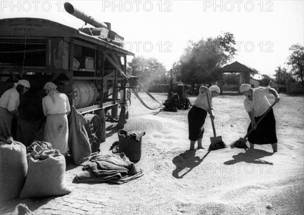 Women drying grain on a kolkhoz (collective farm) in the soviet union, 1930s.
