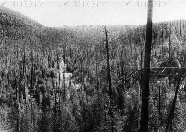 Tunguska meteorite, the valley of the churgima stream, 4km south of where the meteorite fell in 1908, the hills are covered with fallen and burnt trees and young growth, this picture was taken during professor leonid kulik's 1938 expedition to investigate the event.