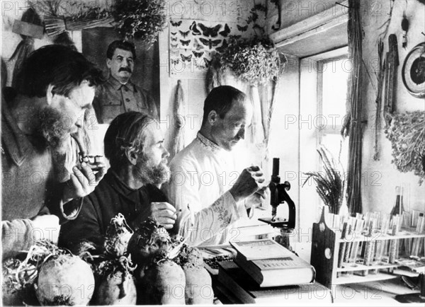A rural laboratory on a collective farm in the orsha district of the mari autonomous republic, soviet farmers conducted experiments in the field, and corresponded with experimental agricultural stations to make reports and to receive instructions for further experiments, seed parcels were supplied by the agricultural stations, 1930s.