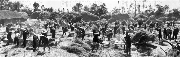 A record yield of wheat cultivated by a production team of the happiness co-op in kwanghua county, hupeh province in 1958, it is estimated that the results are due to close planting, deep ploughing, and application of more fertilizer.