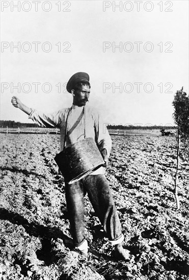 A peasant sowing grain in the saratov region of pre-revolutionary russia, early 1900s.