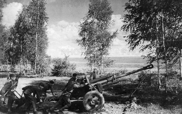 World war 2, august 1943, a red army gun crew pulling their gun to the firing position.