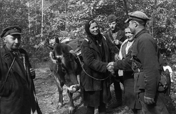 World war 2, collective farmer maria korshun bidding fairwell to fellow partisans as she leaves for her native village, the detachment gave her a cow seized from the germans to replace the one that was pillaged from her farm, she fought in the partisan ranks for 25 months, after her detachment merged into the red army, she returned home, she's been recommended for decoration.