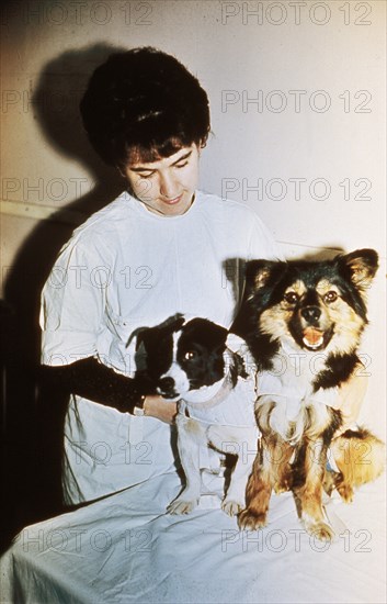 Soviet scientist with two dogs that are being used for research of space travel, 1966.