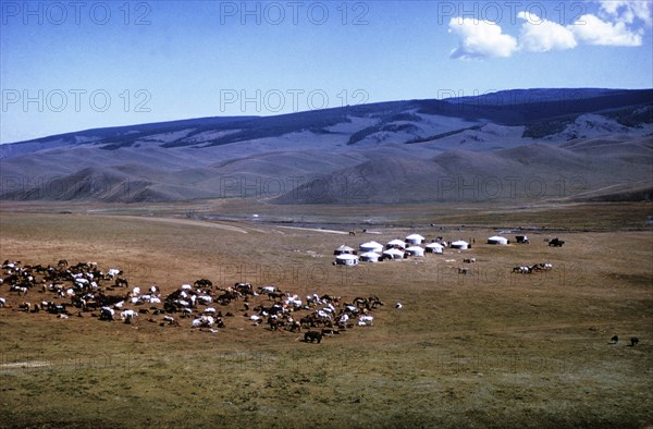 A nomadic horse herders settlement consisting of yurts on the mongolian steppe, 1990s.