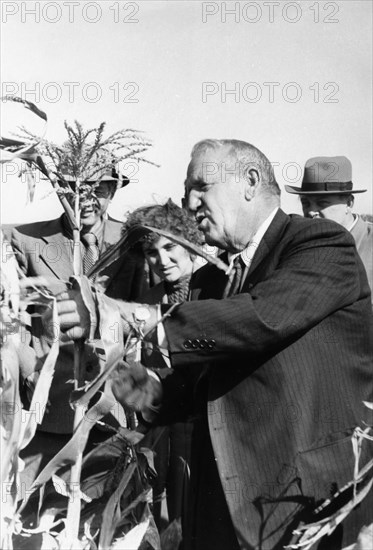 Rosewell garst, head of garst & thomas, an american firm that grows hybrid corn seed, inspecting hybrid corn in a field of the moldavian plant breeding station which supplies corn seed to the republic's collective and state farms, he also visited the kishinev agricultural institute in the moldavian republic, october 1955, ussr.