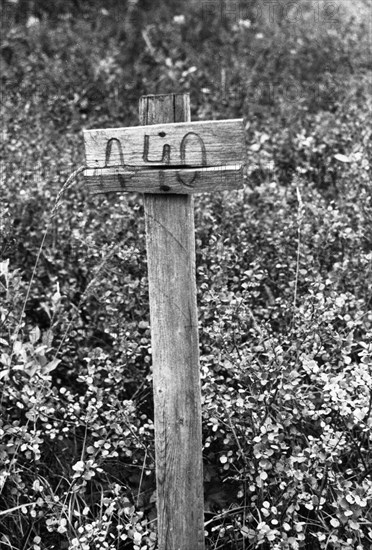 Abandoned cemetery at site of old mine number 29, near vorkuta, komi region, ussr, graves of victims of stalin era repression, gulag, photo taken 1988.