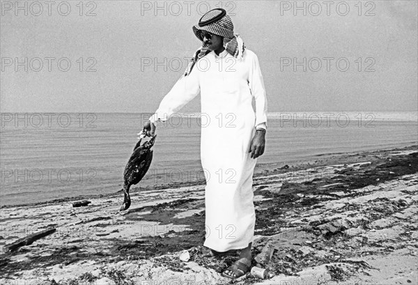 A kuwaiti resident holding a dead cormorant along the oily shore of the persian gulf, the war in the persian gulf caused huge damage to the local environment and the area is on the verge of ecological catastrophe, april 1991.
