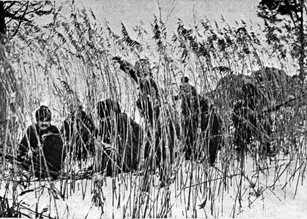 World war one, russian scouts, 1915.