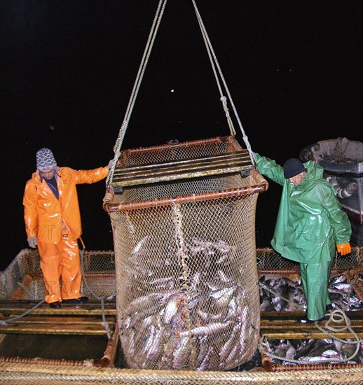 Sakhalin region, russia, september 24, 2004, russian and korean employees engaged with the tunaicha fish-processing plant during coastal fishing.