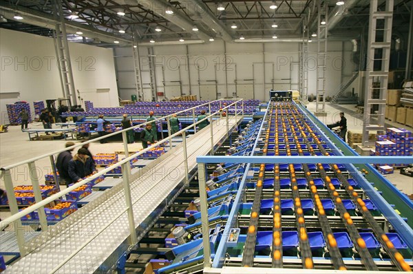 Packaging of the citrus plants at the abkhaz fruit company in the pitsunda resort area,the joint russian-abkhaz enterprise is fitted with modern spanish facilities and practices in treating, sorting and packaging mandarins, january 2006.