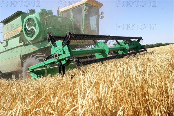 Wheat harvesting on the fields of the privolnoye farm in svetloyarsk district, russia's volgograd region, july 2006.