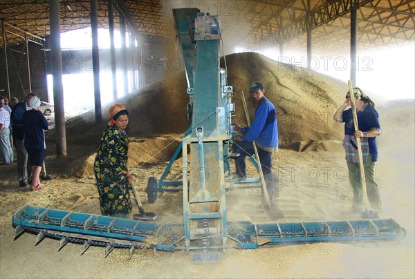 Grain is dried at the elevator of the privolnoye farm in svetloyarsk district, russia's volgograd region, where wheat harvesting has begun, july 2006.