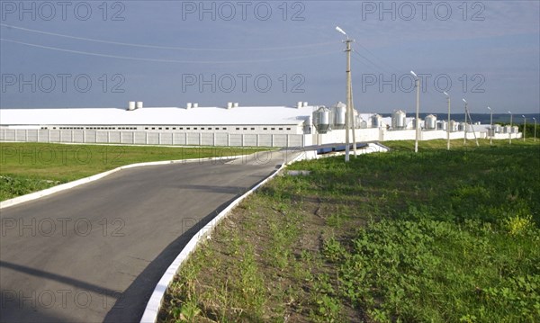 Strigunovsky pig farm, belgorod region, russia, july 2006.