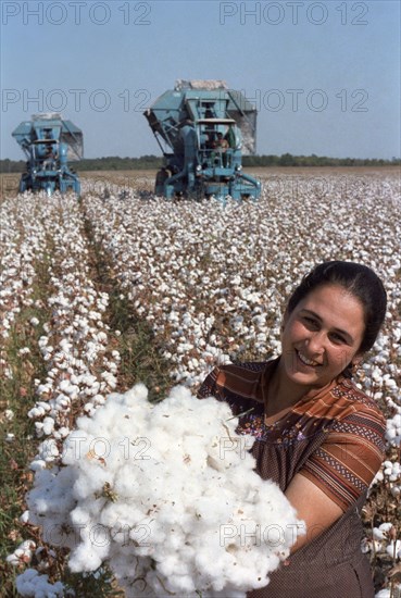 Azerbaijani ssr, ussr, cotton harvest, october, 1985.