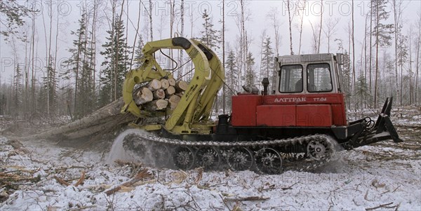 A tractor logging trees in the eastern siberia which is traditionally famous for the taiga woods , irkutsk region , russia, february 19 2000, a considerable part of the russian lumber is exported from this region, russian acting president vladimir putin who visited irkutsk region on friday stressed the importance of the development of the timber industrial complex there.