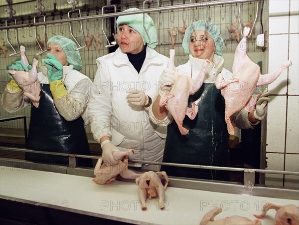 Moscow region, russia, november 15 2002: in the new shop (in pic) of the petelino poultry-processing factory that was opened today, the factory is the biggest one in the region, (photo boris kavashkin).