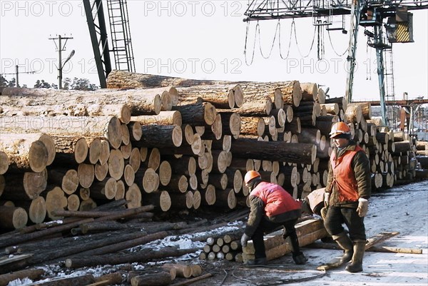 Siberian timber at freight yard 'taltsy' prepared for shipment to china, irkutsk region, russia, february 12 2003, more than a half of siberian timber comes from irkutsk region, about 70% of this timber goes to china and around 24% - to japan.