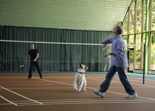 Sochi, russia, august 14, 2009, prime minister of russia vladimir putin and russian president dmitry medvedev (l) play badminton, as medvedev's golden retriever aldo runs around, after a working meeting at the bocharov ruchei presidential residence.