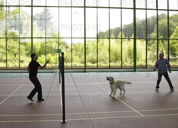 Sochi, russia, august 14, 2009, prime minister of russia vladimir putin and russian president dmitry medvedev (l) play badminton, as medvedev's golden retriever aldo runs around, after a working meeting at the bocharov ruchei presidential residence.