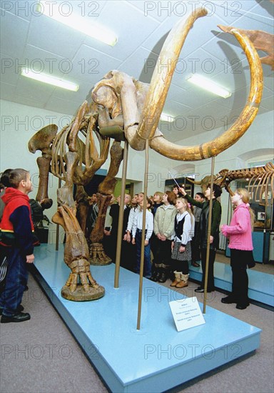 The first in kazakhstan mammoth skeleton is on display at the pavlodar local lore museum, it has been assembled of bones of pre-historical animals excavated by scientists on the region's territory, january 25, 2002.