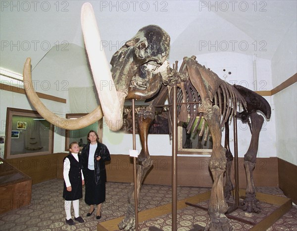 The tobolsk museum-preserve has been keeping remains of a mammoth since pre-revolutionary times: a scull with tusks and parts of the skeleton,a year ago it was decided to restore all bones of this ancient animal, director of the novosibirsk museum of natural history, well-known palenthologist i,grebnev was invited to tobolsk to help restore the skeleton of the mammoth, all work was done in novosibirsk and now the mammoth has retuned to tobolsk, september 6, 1998.