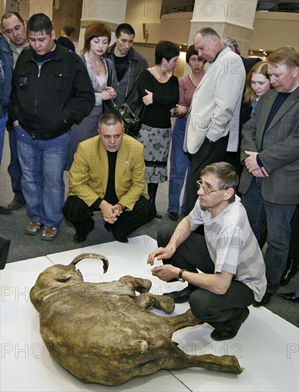 People crowd round the carcass of baby mammoth lyuba, discovered by a reindeer herder, yuri khudi (unseen), near the town of salekhard, north russia, the geological age of the find is 37,000 years, russia, october 23, 2007.