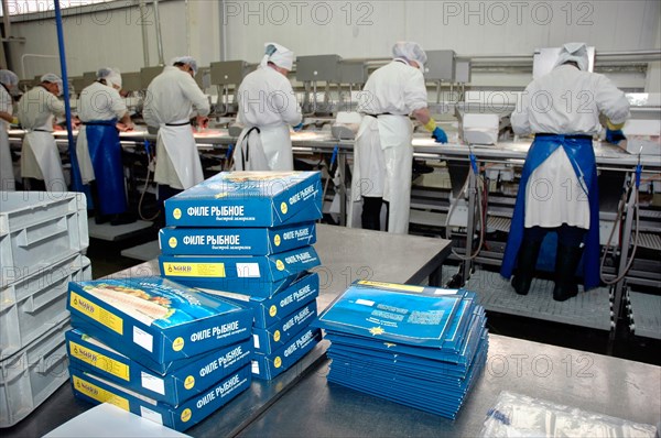 Murmansk, russia, july 9, 2008, workers pack finishing products of the nord-west fish processing plant.