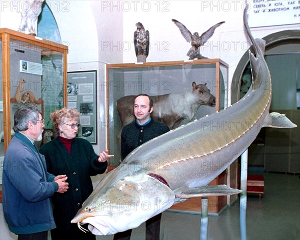 Khabarovsk, russia, january 29 2003: honoured russian artist vitaly drozdov (l) showing to research worker of khabarovsk state local lore museum, olga sysoyeva, a unique model of siberian sturgeon, made by him, which is 3,5 metres long and weights 250 kg, (itar-tass photo / vladimir tarabashchuk).