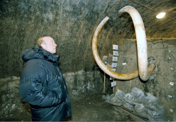 French traveller and businessman bernard buigues looks on a permafrost block with mammoth tusks - the main exhibit of an improvised ice museum buigues has set up in the village of khatanga were he collects remains of prehistoric animals, taimyr peninsula, russia, may 12, 2003.