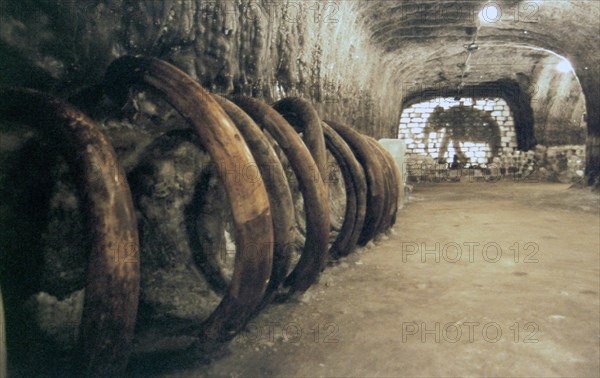 A view of a gallery with mammoth remains pictured at the improvised ice museum french traveller and businessman bernard buigues has set up in the village of khatanga were he collects remains of prehistoric animals in permafrost, taimyr peninsula, russia, may 12, 2003.