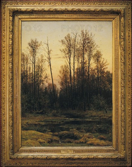 Forest in spring' (1884) painting by i, i, shishkin at the history & arts museum in serpukhov, moscow region, russia.